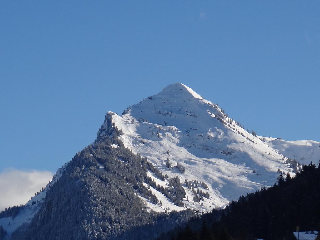 Chalet Chez Gaby - Quartier Calme Proche Du Centre Morzine Exterior photo